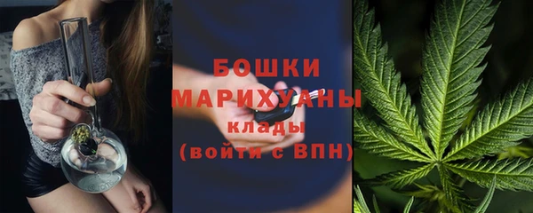 spice Гусев
