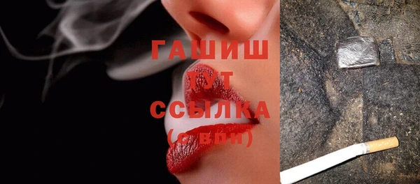 spice Гусев