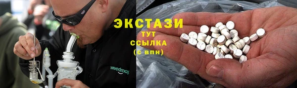 spice Гусев
