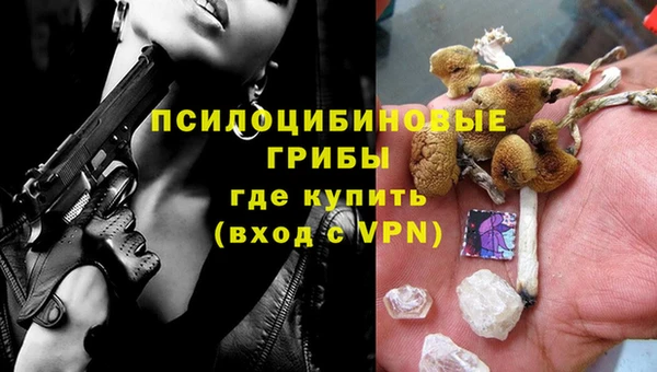 герыч Горнозаводск