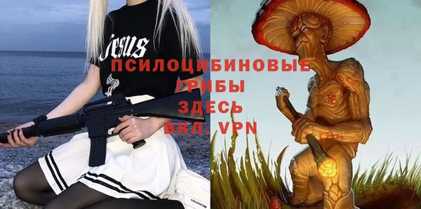 a pvp Горно-Алтайск