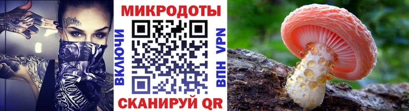 Купить где  Первомайск  Галлюциногенные грибы Psilocybe 